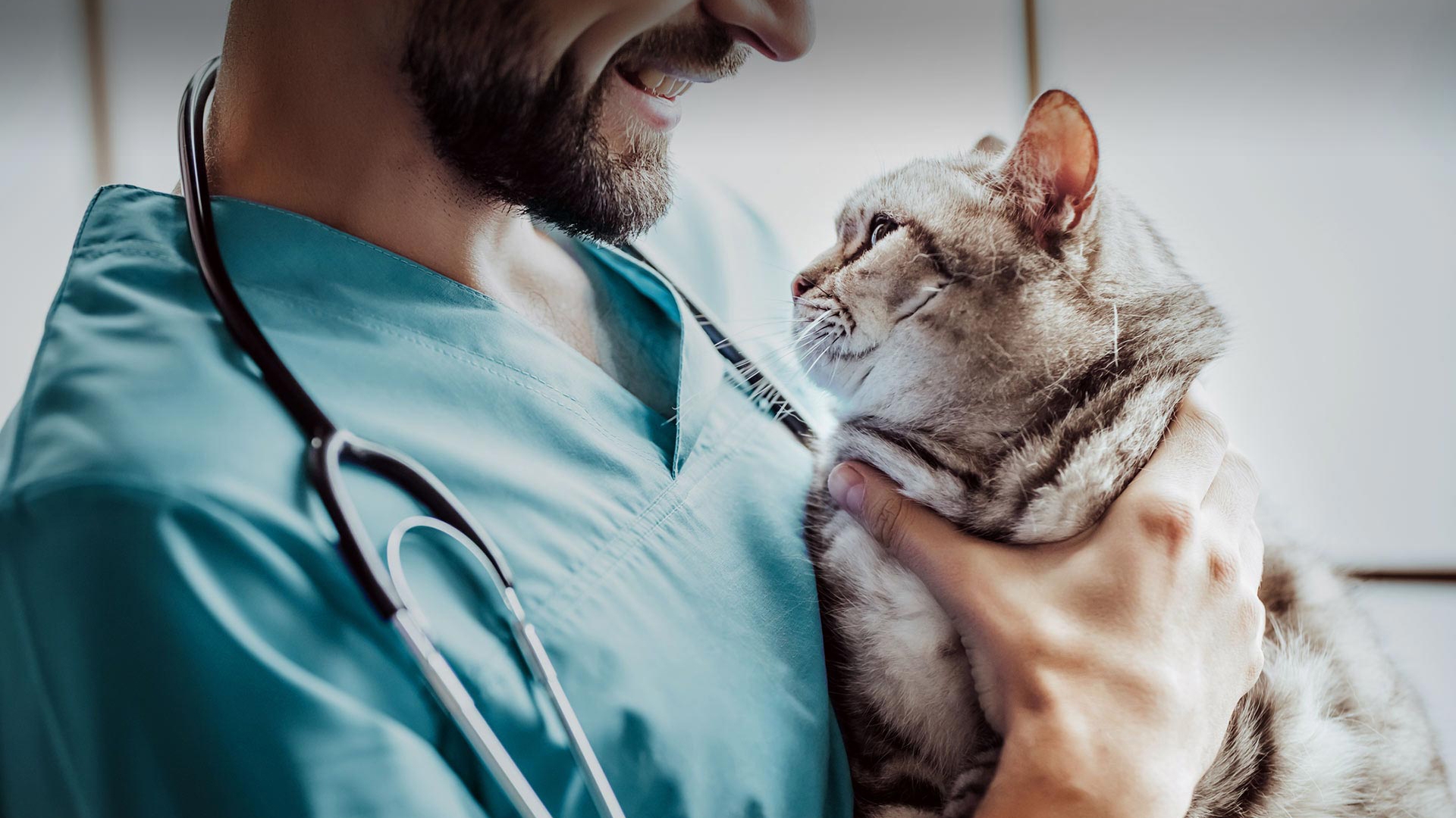 Sultangazi Veteriner